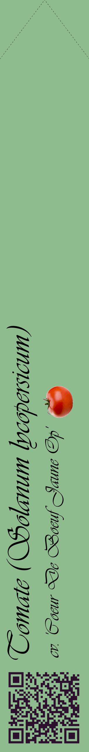 Étiquette de : Solanum lycopersicum cv. 'Coeur De Boeuf Jaune Op' - format c - style noire13_simpleviv avec qrcode et comestibilité simplifiée