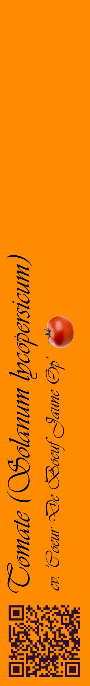Étiquette de : Solanum lycopersicum cv. 'Coeur De Boeuf Jaune Op' - format c - style noire23_basiqueviv avec qrcode et comestibilité simplifiée