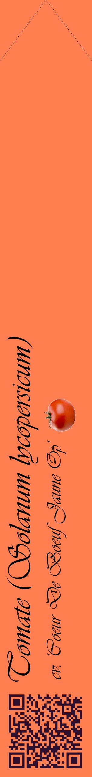 Étiquette de : Solanum lycopersicum cv. 'Coeur De Boeuf Jaune Op' - format c - style noire24_simpleviv avec qrcode et comestibilité simplifiée