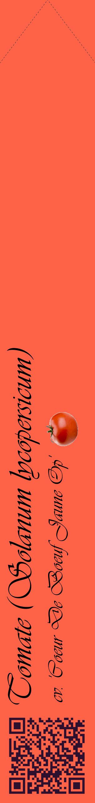 Étiquette de : Solanum lycopersicum cv. 'Coeur De Boeuf Jaune Op' - format c - style noire25_simpleviv avec qrcode et comestibilité simplifiée
