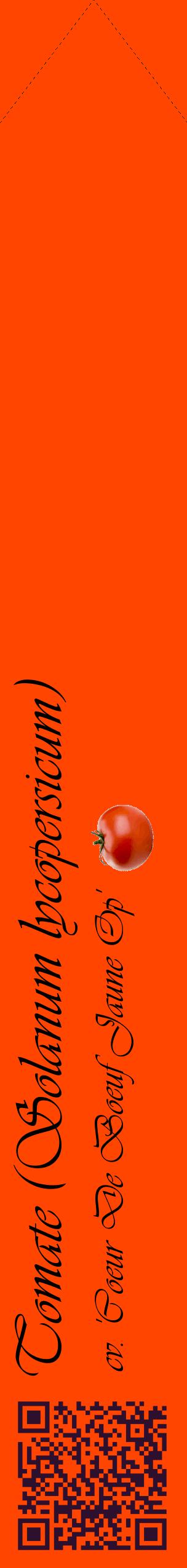 Étiquette de : Solanum lycopersicum cv. 'Coeur De Boeuf Jaune Op' - format c - style noire26_simpleviv avec qrcode et comestibilité simplifiée