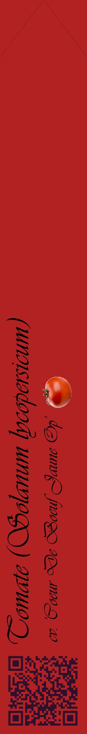 Étiquette de : Solanum lycopersicum cv. 'Coeur De Boeuf Jaune Op' - format c - style noire28_simpleviv avec qrcode et comestibilité simplifiée