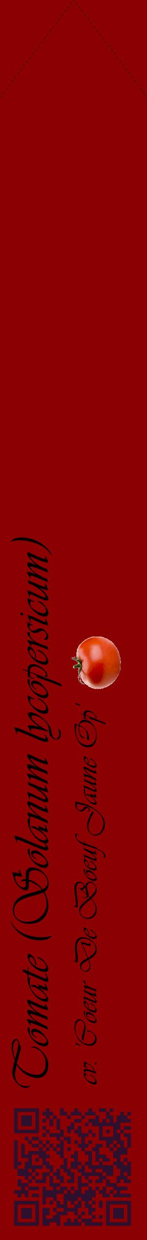Étiquette de : Solanum lycopersicum cv. 'Coeur De Boeuf Jaune Op' - format c - style noire34_simpleviv avec qrcode et comestibilité simplifiée