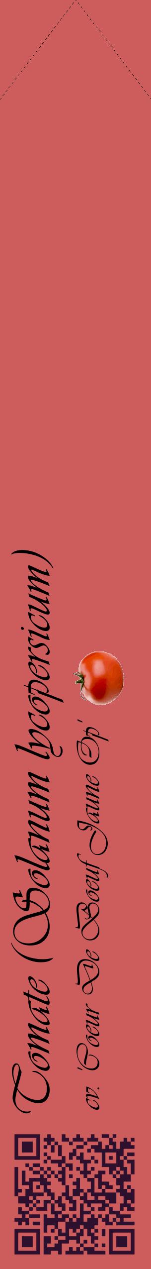 Étiquette de : Solanum lycopersicum cv. 'Coeur De Boeuf Jaune Op' - format c - style noire35_simpleviv avec qrcode et comestibilité simplifiée