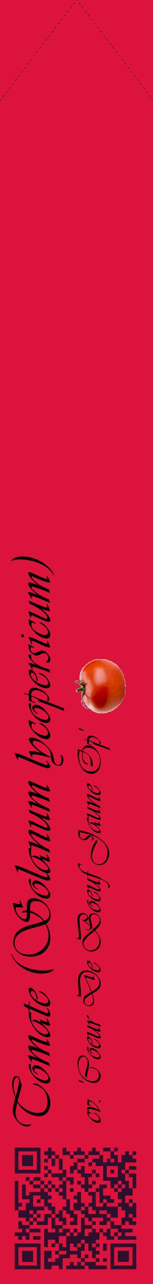 Étiquette de : Solanum lycopersicum cv. 'Coeur De Boeuf Jaune Op' - format c - style noire36_simpleviv avec qrcode et comestibilité simplifiée