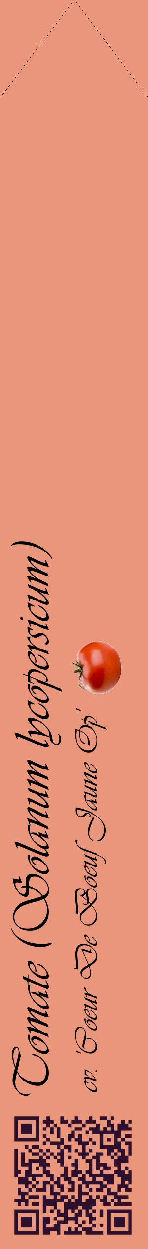 Étiquette de : Solanum lycopersicum cv. 'Coeur De Boeuf Jaune Op' - format c - style noire37_simpleviv avec qrcode et comestibilité simplifiée
