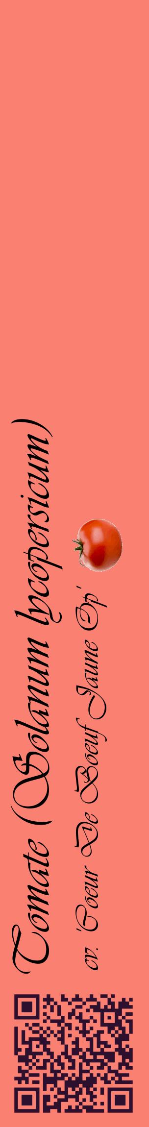 Étiquette de : Solanum lycopersicum cv. 'Coeur De Boeuf Jaune Op' - format c - style noire38_basiqueviv avec qrcode et comestibilité simplifiée