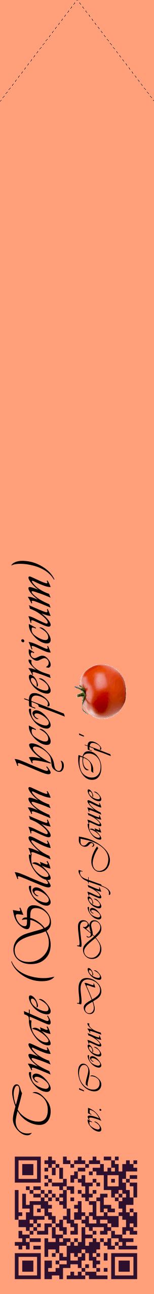 Étiquette de : Solanum lycopersicum cv. 'Coeur De Boeuf Jaune Op' - format c - style noire39_simpleviv avec qrcode et comestibilité simplifiée