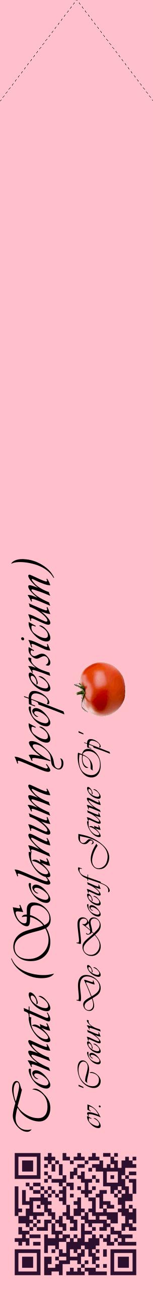 Étiquette de : Solanum lycopersicum cv. 'Coeur De Boeuf Jaune Op' - format c - style noire40_simpleviv avec qrcode et comestibilité simplifiée