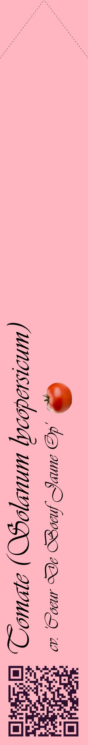 Étiquette de : Solanum lycopersicum cv. 'Coeur De Boeuf Jaune Op' - format c - style noire41_simpleviv avec qrcode et comestibilité simplifiée