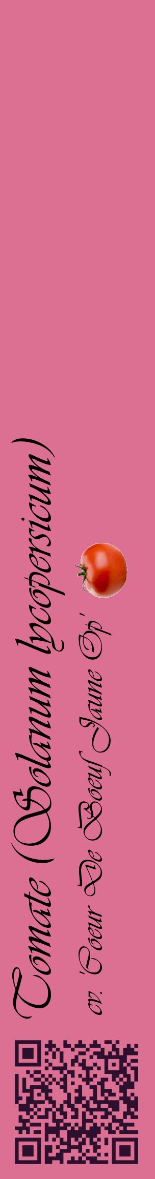 Étiquette de : Solanum lycopersicum cv. 'Coeur De Boeuf Jaune Op' - format c - style noire44_basiqueviv avec qrcode et comestibilité simplifiée