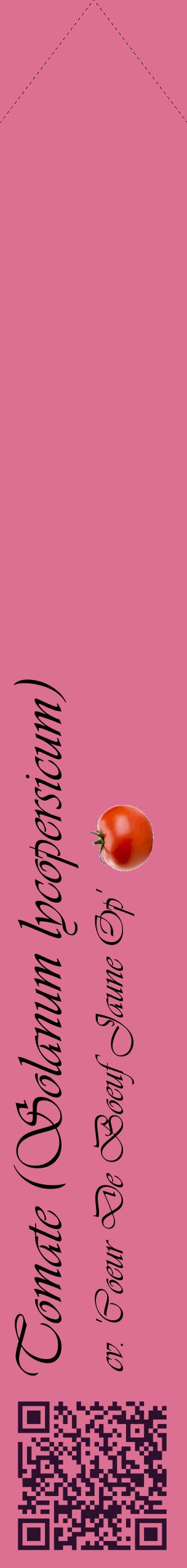 Étiquette de : Solanum lycopersicum cv. 'Coeur De Boeuf Jaune Op' - format c - style noire44_simpleviv avec qrcode et comestibilité simplifiée