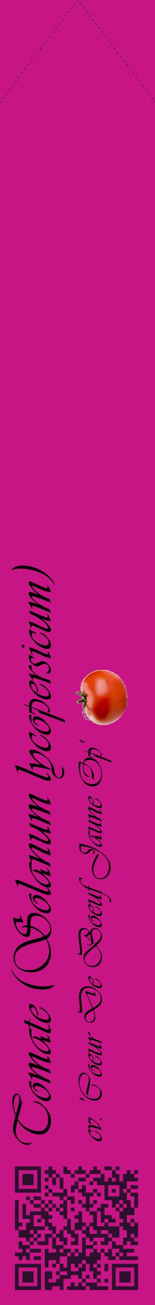 Étiquette de : Solanum lycopersicum cv. 'Coeur De Boeuf Jaune Op' - format c - style noire45_simpleviv avec qrcode et comestibilité simplifiée