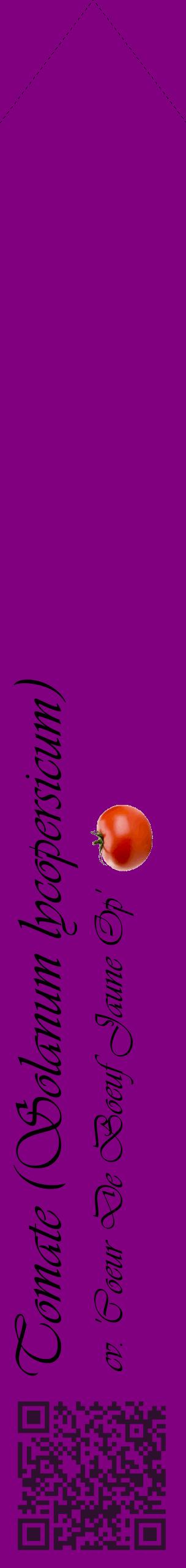 Étiquette de : Solanum lycopersicum cv. 'Coeur De Boeuf Jaune Op' - format c - style noire46_simpleviv avec qrcode et comestibilité simplifiée