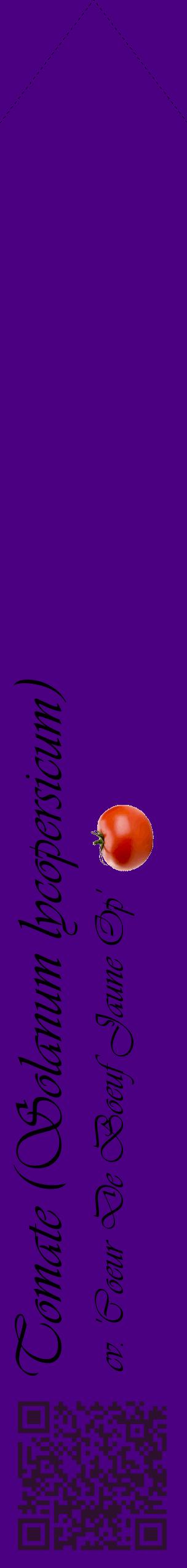 Étiquette de : Solanum lycopersicum cv. 'Coeur De Boeuf Jaune Op' - format c - style noire47_simpleviv avec qrcode et comestibilité simplifiée