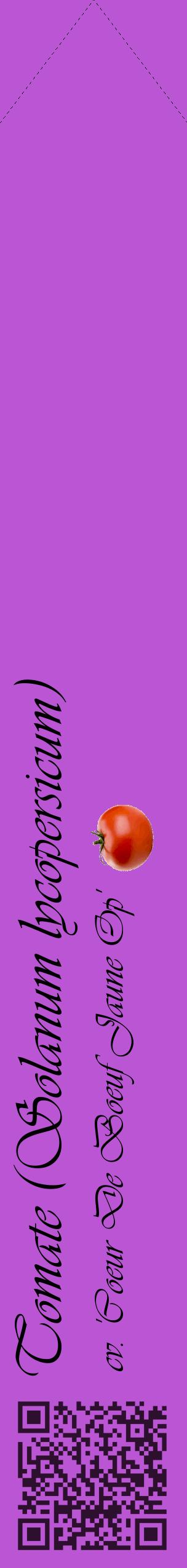 Étiquette de : Solanum lycopersicum cv. 'Coeur De Boeuf Jaune Op' - format c - style noire50_simpleviv avec qrcode et comestibilité simplifiée
