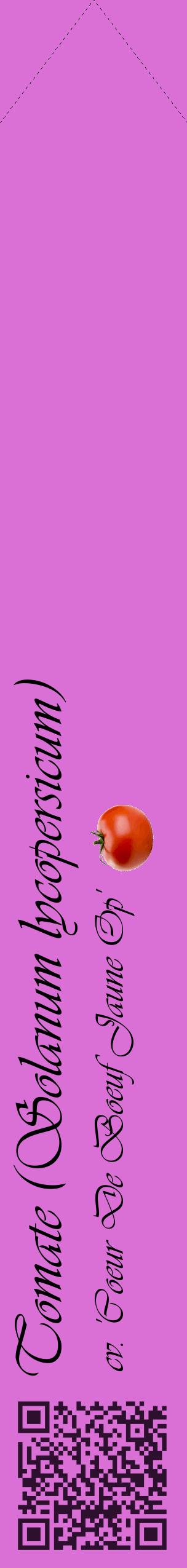 Étiquette de : Solanum lycopersicum cv. 'Coeur De Boeuf Jaune Op' - format c - style noire52_simpleviv avec qrcode et comestibilité simplifiée