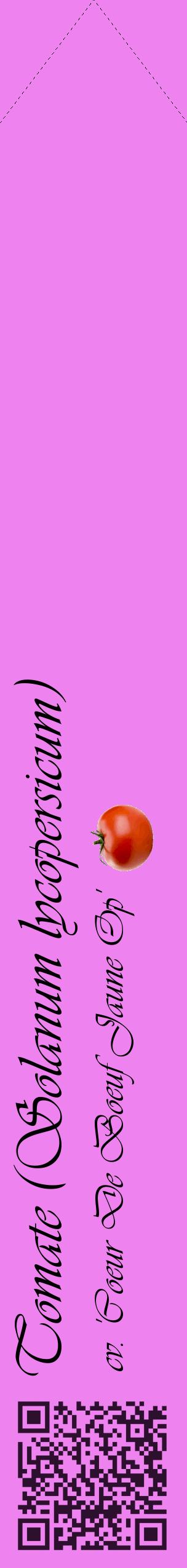 Étiquette de : Solanum lycopersicum cv. 'Coeur De Boeuf Jaune Op' - format c - style noire53_simpleviv avec qrcode et comestibilité simplifiée