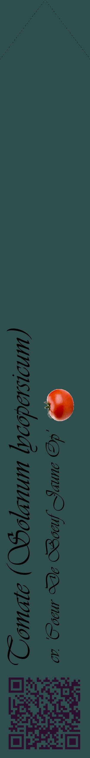 Étiquette de : Solanum lycopersicum cv. 'Coeur De Boeuf Jaune Op' - format c - style noire58_simpleviv avec qrcode et comestibilité simplifiée