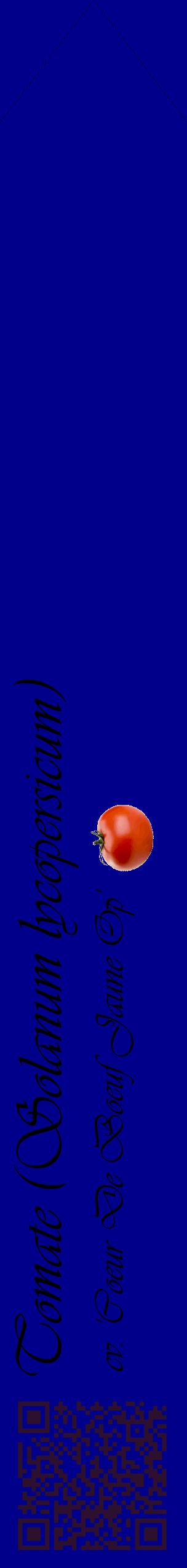 Étiquette de : Solanum lycopersicum cv. 'Coeur De Boeuf Jaune Op' - format c - style noire7_simpleviv avec qrcode et comestibilité simplifiée