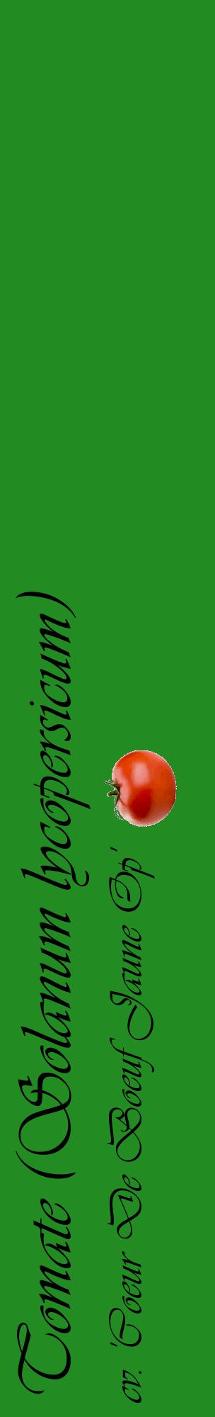 Étiquette de : Solanum lycopersicum cv. 'Coeur De Boeuf Jaune Op' - format c - style noire10_basiqueviv avec comestibilité simplifiée