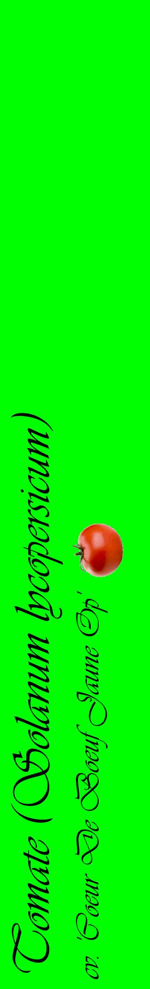 Étiquette de : Solanum lycopersicum cv. 'Coeur De Boeuf Jaune Op' - format c - style noire16_basiqueviv avec comestibilité simplifiée