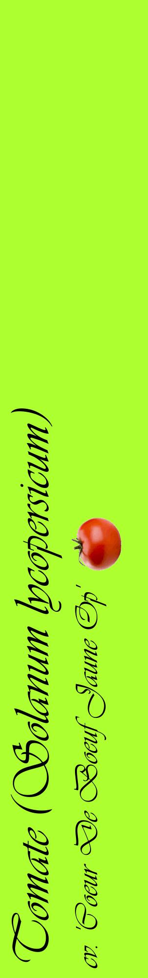 Étiquette de : Solanum lycopersicum cv. 'Coeur De Boeuf Jaune Op' - format c - style noire17_basiqueviv avec comestibilité simplifiée