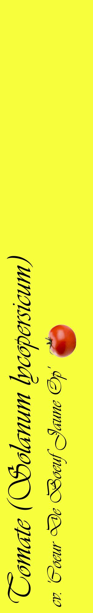 Étiquette de : Solanum lycopersicum cv. 'Coeur De Boeuf Jaune Op' - format c - style noire18_basiqueviv avec comestibilité simplifiée