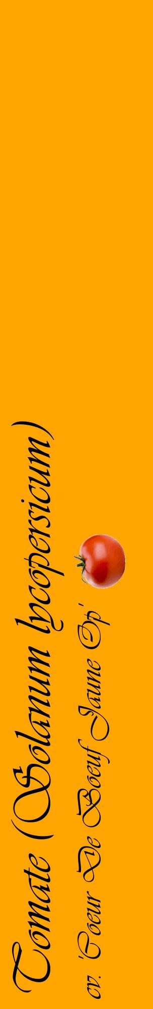 Étiquette de : Solanum lycopersicum cv. 'Coeur De Boeuf Jaune Op' - format c - style noire22_basiqueviv avec comestibilité simplifiée