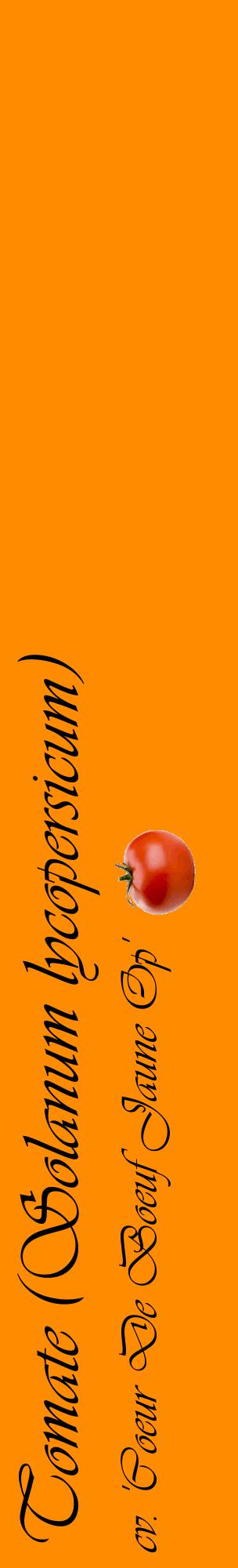 Étiquette de : Solanum lycopersicum cv. 'Coeur De Boeuf Jaune Op' - format c - style noire23_basiqueviv avec comestibilité simplifiée