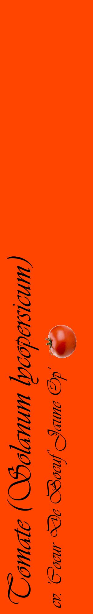 Étiquette de : Solanum lycopersicum cv. 'Coeur De Boeuf Jaune Op' - format c - style noire26_basiqueviv avec comestibilité simplifiée