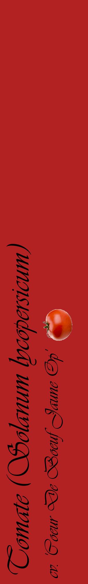 Étiquette de : Solanum lycopersicum cv. 'Coeur De Boeuf Jaune Op' - format c - style noire28_basiqueviv avec comestibilité simplifiée