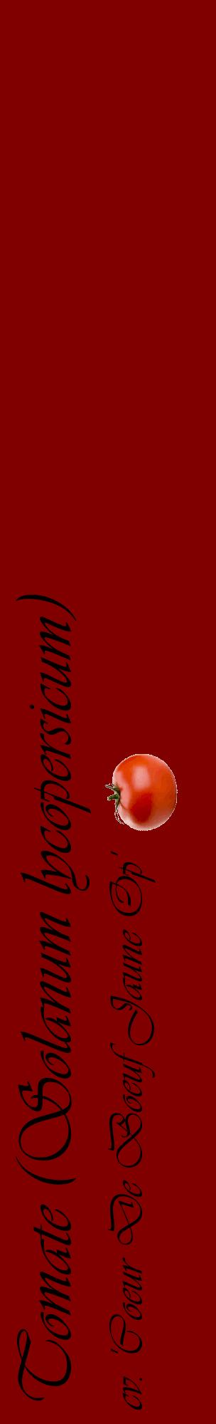 Étiquette de : Solanum lycopersicum cv. 'Coeur De Boeuf Jaune Op' - format c - style noire29_basiqueviv avec comestibilité simplifiée