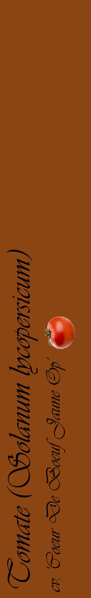Étiquette de : Solanum lycopersicum cv. 'Coeur De Boeuf Jaune Op' - format c - style noire30_basiqueviv avec comestibilité simplifiée