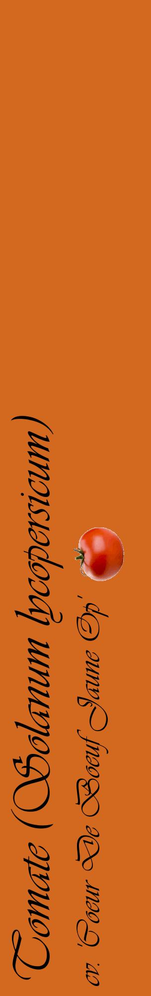 Étiquette de : Solanum lycopersicum cv. 'Coeur De Boeuf Jaune Op' - format c - style noire31_basiqueviv avec comestibilité simplifiée