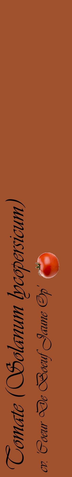 Étiquette de : Solanum lycopersicum cv. 'Coeur De Boeuf Jaune Op' - format c - style noire32_basiqueviv avec comestibilité simplifiée