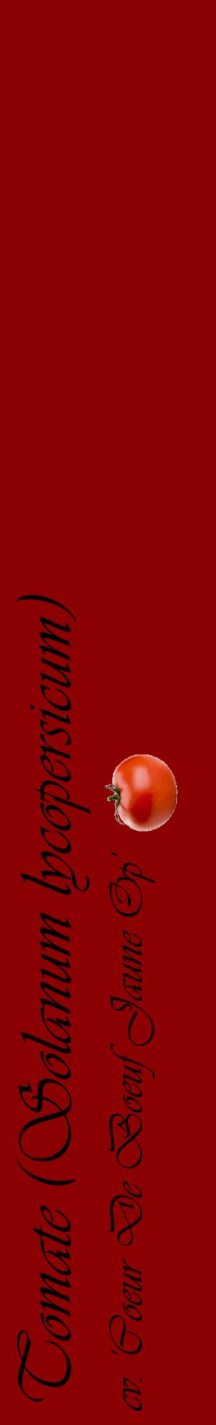 Étiquette de : Solanum lycopersicum cv. 'Coeur De Boeuf Jaune Op' - format c - style noire34_basiqueviv avec comestibilité simplifiée