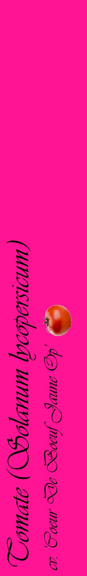 Étiquette de : Solanum lycopersicum cv. 'Coeur De Boeuf Jaune Op' - format c - style noire43_basiqueviv avec comestibilité simplifiée
