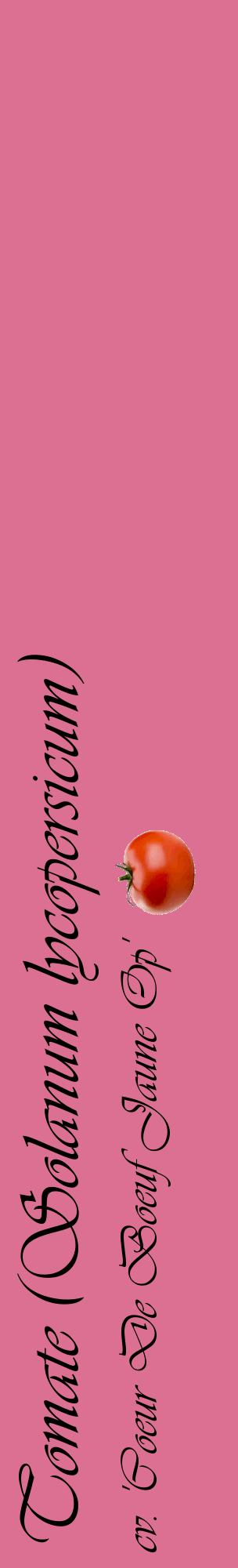 Étiquette de : Solanum lycopersicum cv. 'Coeur De Boeuf Jaune Op' - format c - style noire44_basiqueviv avec comestibilité simplifiée