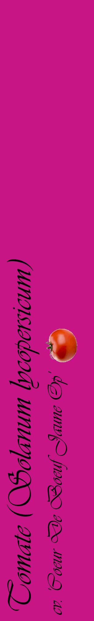 Étiquette de : Solanum lycopersicum cv. 'Coeur De Boeuf Jaune Op' - format c - style noire45_basiqueviv avec comestibilité simplifiée