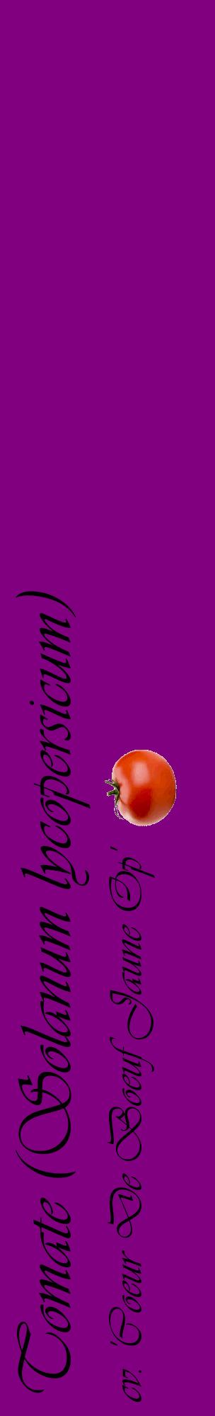 Étiquette de : Solanum lycopersicum cv. 'Coeur De Boeuf Jaune Op' - format c - style noire46_basiqueviv avec comestibilité simplifiée