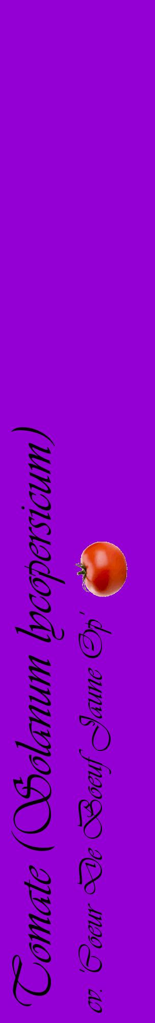 Étiquette de : Solanum lycopersicum cv. 'Coeur De Boeuf Jaune Op' - format c - style noire48_basiqueviv avec comestibilité simplifiée