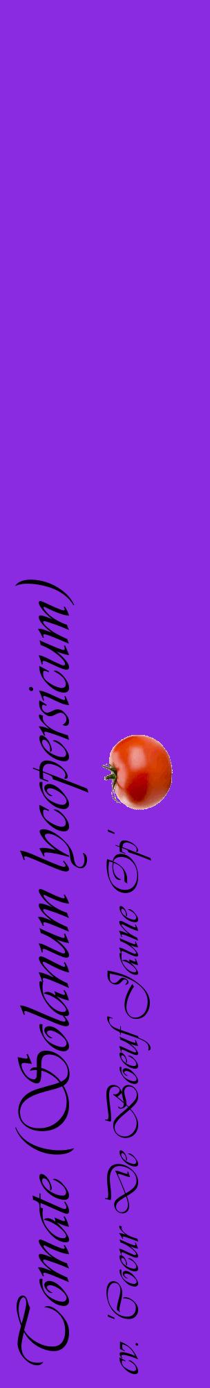Étiquette de : Solanum lycopersicum cv. 'Coeur De Boeuf Jaune Op' - format c - style noire49_basiqueviv avec comestibilité simplifiée