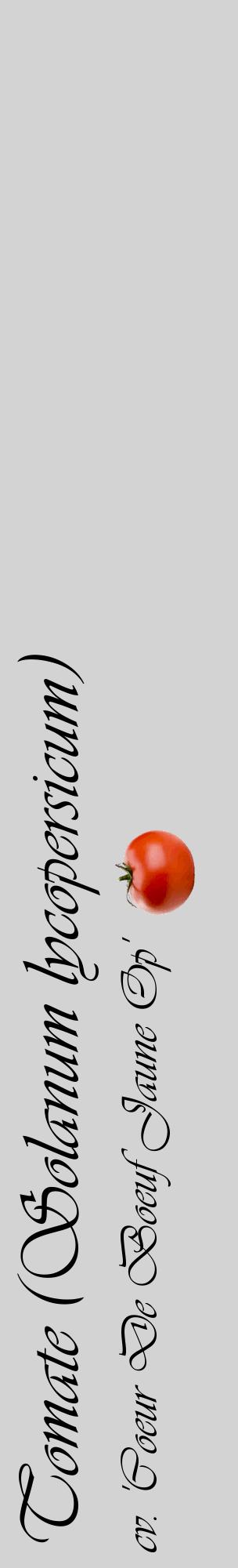 Étiquette de : Solanum lycopersicum cv. 'Coeur De Boeuf Jaune Op' - format c - style noire56_basiqueviv avec comestibilité simplifiée