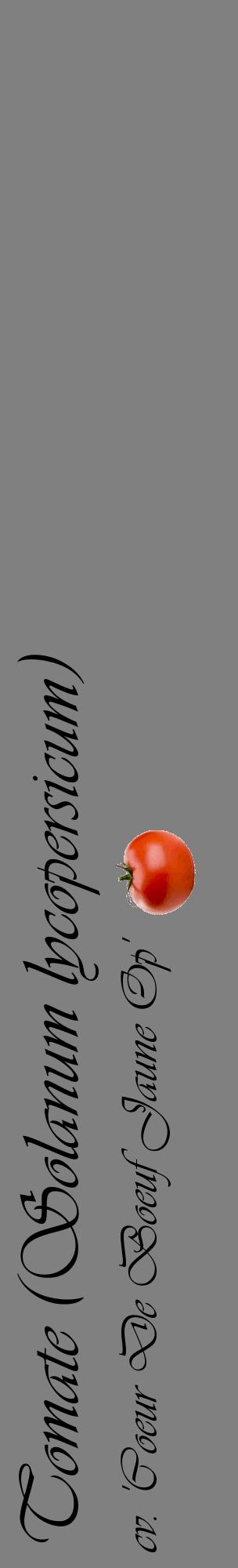 Étiquette de : Solanum lycopersicum cv. 'Coeur De Boeuf Jaune Op' - format c - style noire57_basiqueviv avec comestibilité simplifiée