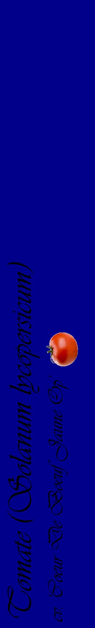 Étiquette de : Solanum lycopersicum cv. 'Coeur De Boeuf Jaune Op' - format c - style noire7_basiqueviv avec comestibilité simplifiée