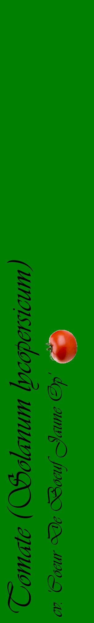 Étiquette de : Solanum lycopersicum cv. 'Coeur De Boeuf Jaune Op' - format c - style noire9_basiqueviv avec comestibilité simplifiée