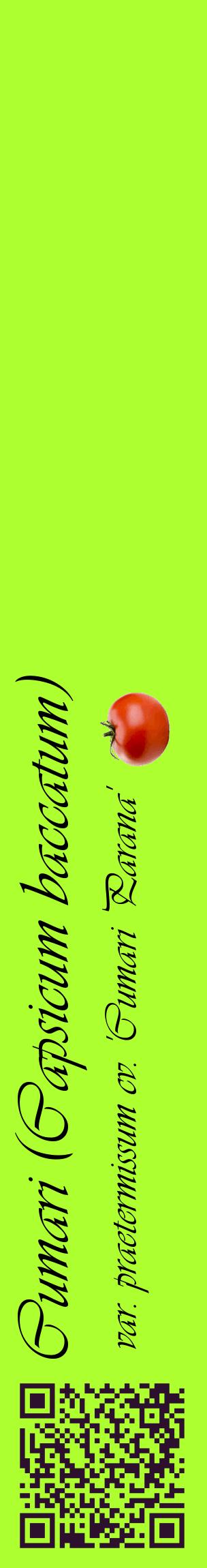 Étiquette de : Capsicum baccatum var. praetermissum cv. 'Cumari Parana' - format c - style noire17_basiqueviv avec qrcode et comestibilité simplifiée