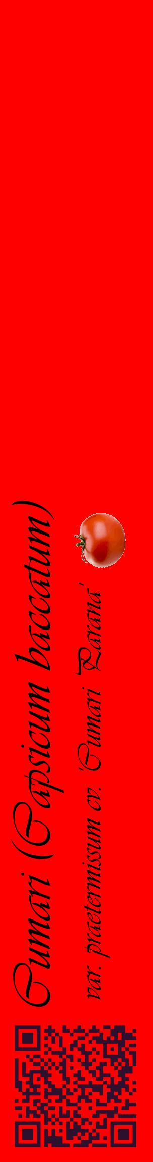 Étiquette de : Capsicum baccatum var. praetermissum cv. 'Cumari Parana' - format c - style noire27_basiqueviv avec qrcode et comestibilité simplifiée
