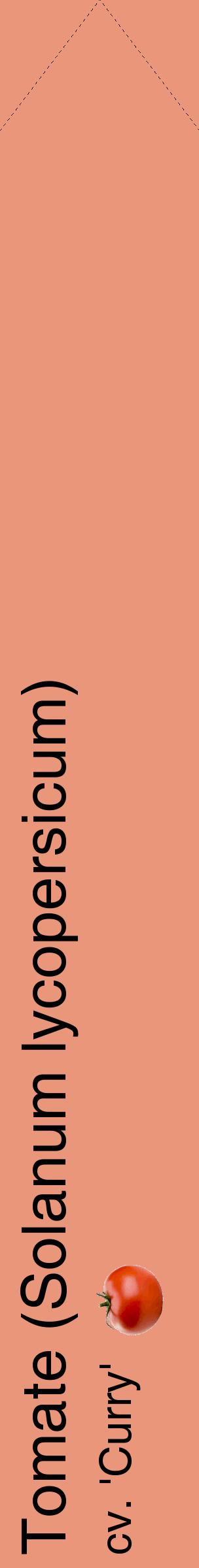 Étiquette de : Solanum lycopersicum cv. 'Curry' - format c - style noire37_simplehel avec comestibilité simplifiée